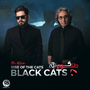 خرید آلبوم بلک کتس